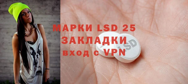 индика Алексеевка